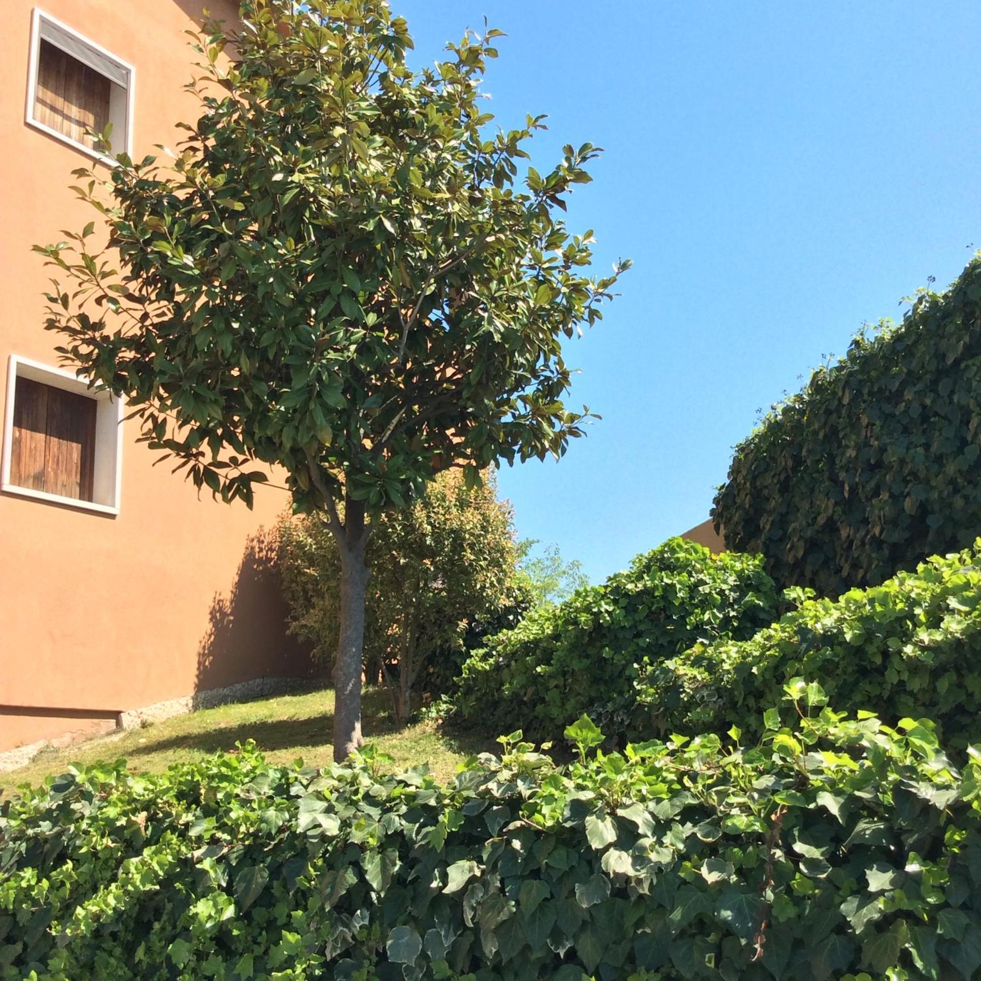 Appartamento Filippo Castelnuovo del Garda Exterior photo